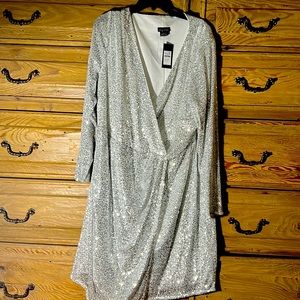 NWT Plus size Silver Sequin Razzle dress! Shimmery fun!